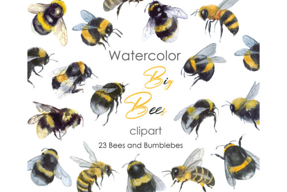 Bee Clipart Watercolor Insect Art Png for Illustrations