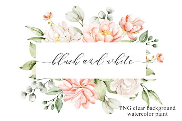 Blush and White Flowers: Watercolor Illustrations Review