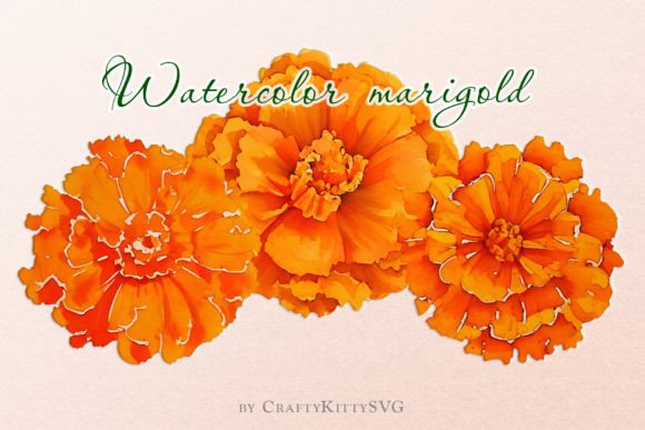 Marigold Flower Watercolor Clipart Set Review