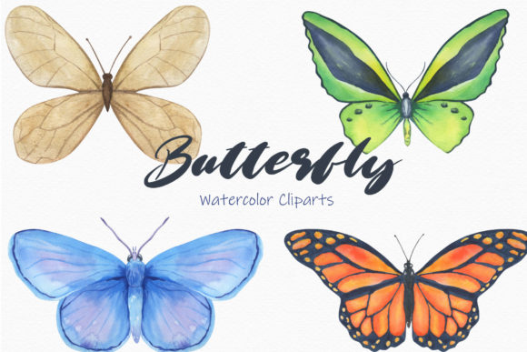 Monarch Butterfly Watercolor Clipart Png & Illustrations