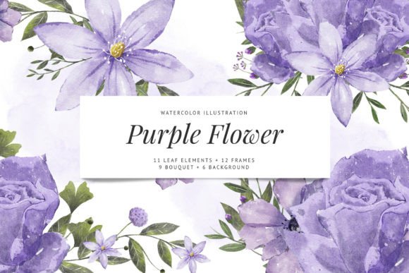 Purple Flower Watercolor Set: Premium Illustrations