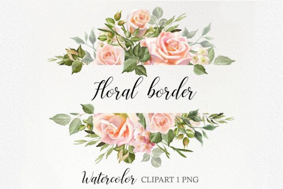 Review: Watercolor Blush Rose Flower Border Illustrations