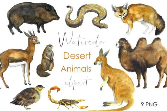 Review: Watercolor Desert Animals for Embroidery