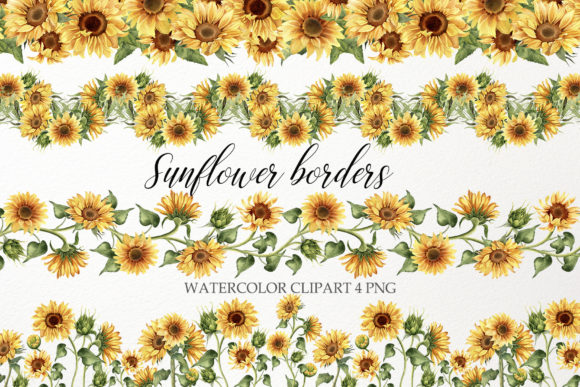 Sunflower Border Clipart: Watercolor PNG Illustrations