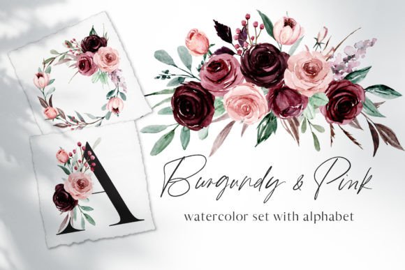 Watercolor Burgundy and Pink Flowers: Premium Illustrations