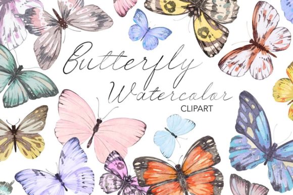 Watercolor Butterfly Clipart: Insect Illustrations