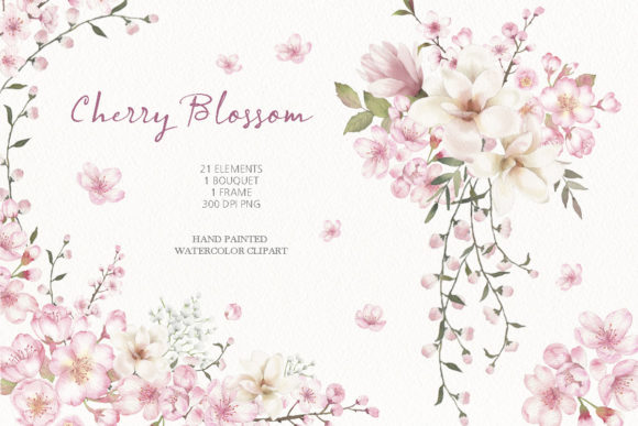 Watercolor Cherry Blossom Clipart: Elegant Illustrations
