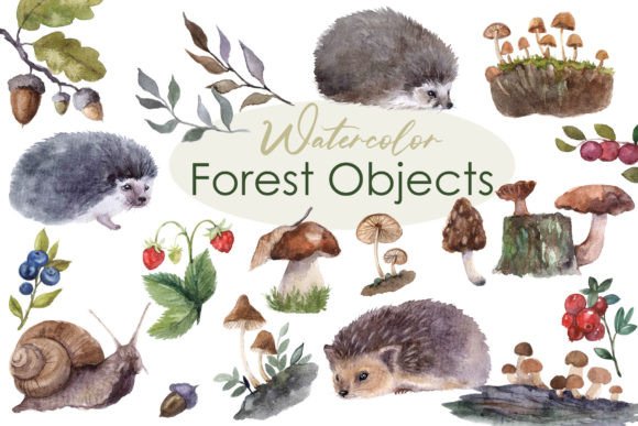 Watercolor Clipart. Forest Cute Fall Png Illustrations