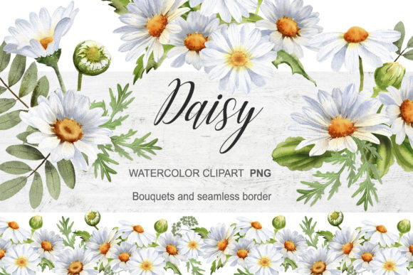Watercolor Daisy Clipart Chamomile: A Designer's Review
