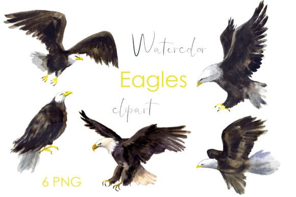 Watercolor Eagle Clipart: Bold Illustrations for Crafters