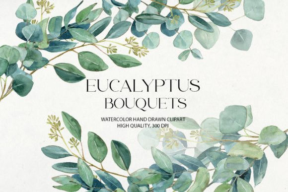 Watercolor Eucalyptus Bouquets Clipart: A Designer's Review