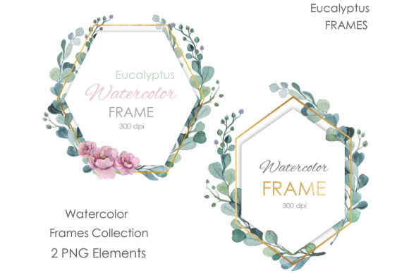 Watercolor Eucalyptus Clipart Greenery: Premium Illustrations