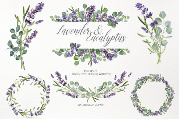 Watercolor Eucalyptus Lavender Flower Illustrations Review