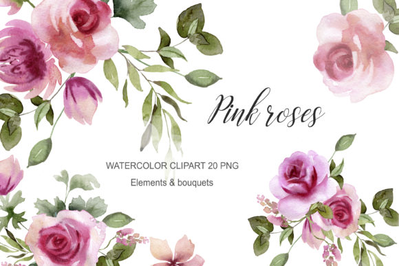 Watercolor Flowers Pink Rose Clipart: Soft Illustrations
