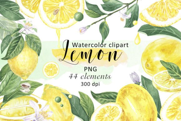 Watercolor Lemon Filler Circles: Fresh Illustrations