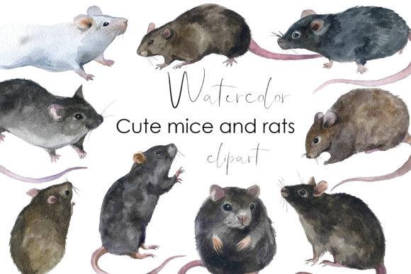 Watercolor Rodents Clipart Mouse and Rat Illustrations