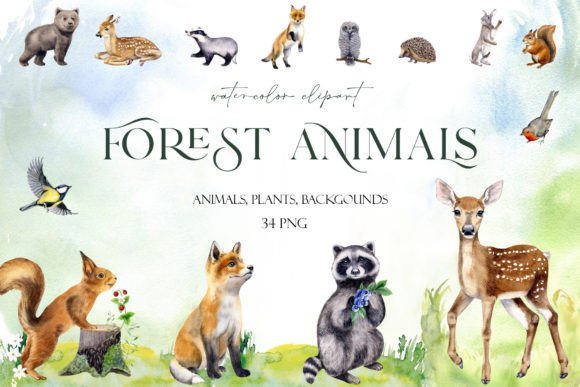 Watercolor Set Cute Woodland Animals Png: Editorial Illustrations