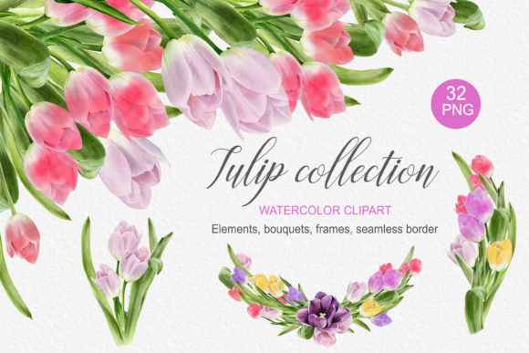 Watercolor Tulip Bouquet Frame: Premium Illustrations