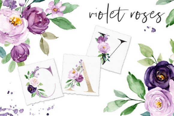 Watercolor Violet Flowers Roses: Premium Freebies Review