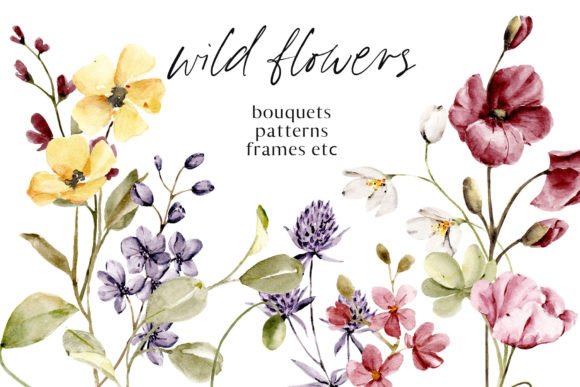 Wild Flowers, Poppies Watercolor Set: Premium Illustrations